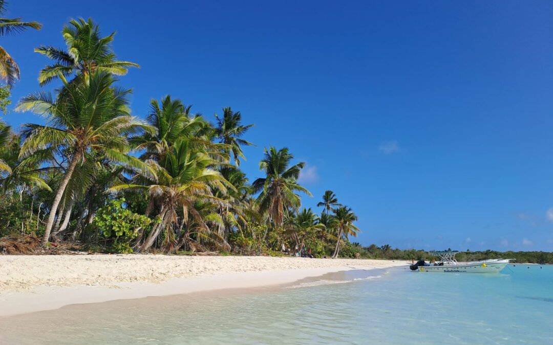 Saona Island: A Caribbean Paradise You Must Discover