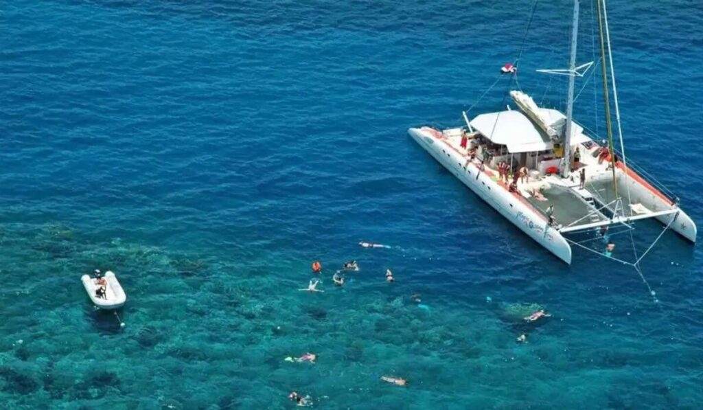 Tip Top Catamaran Tour 1