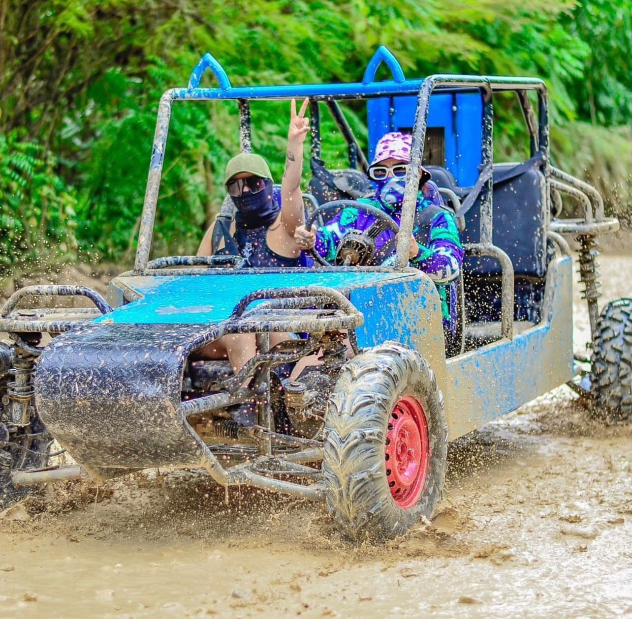 Buggy pregaton