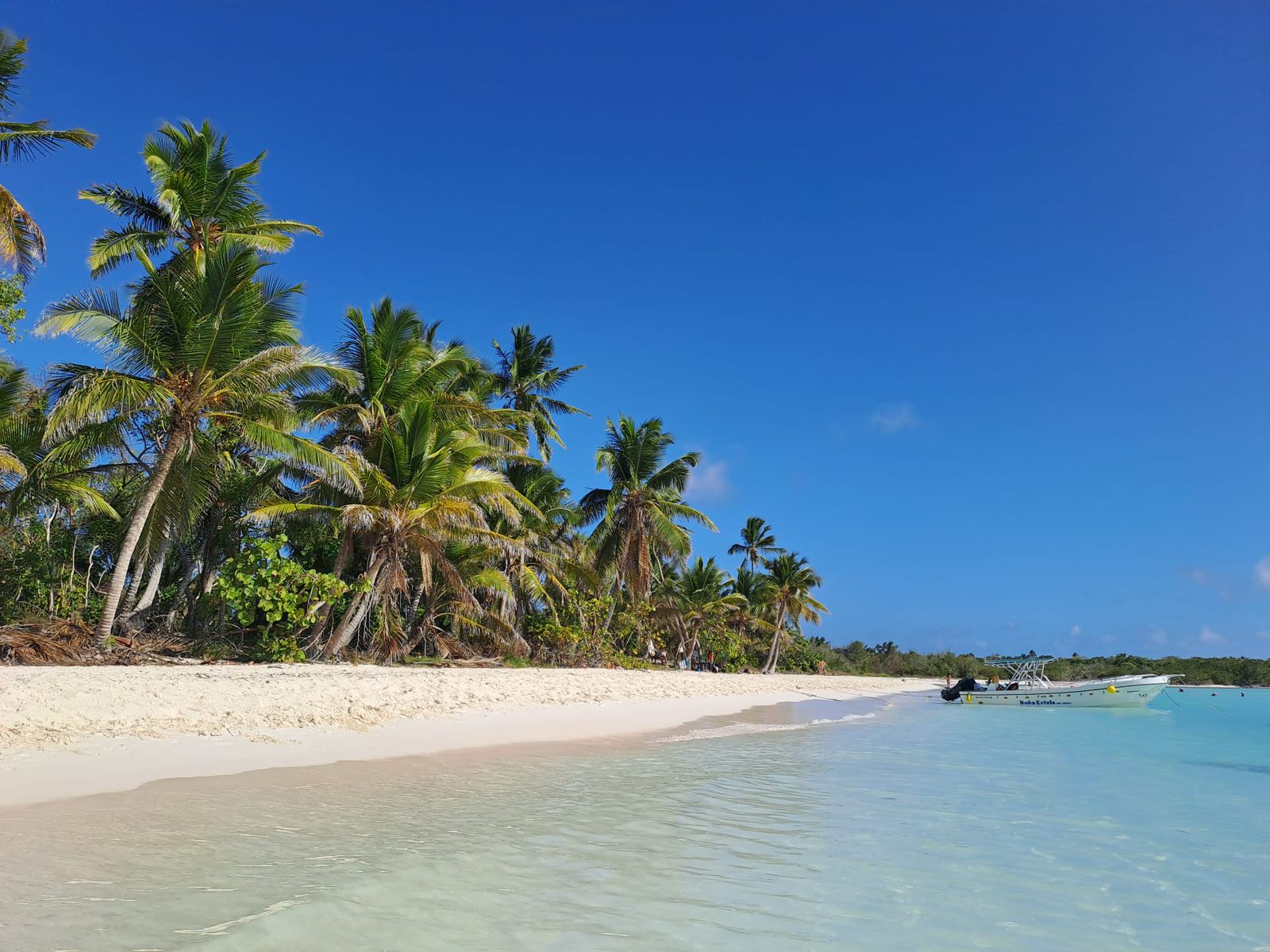 Saona VIP