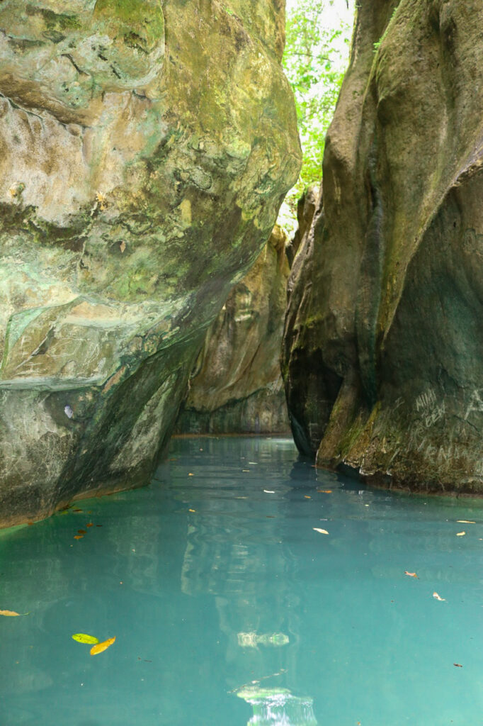 Damajagua y Casa de los Monos 1
