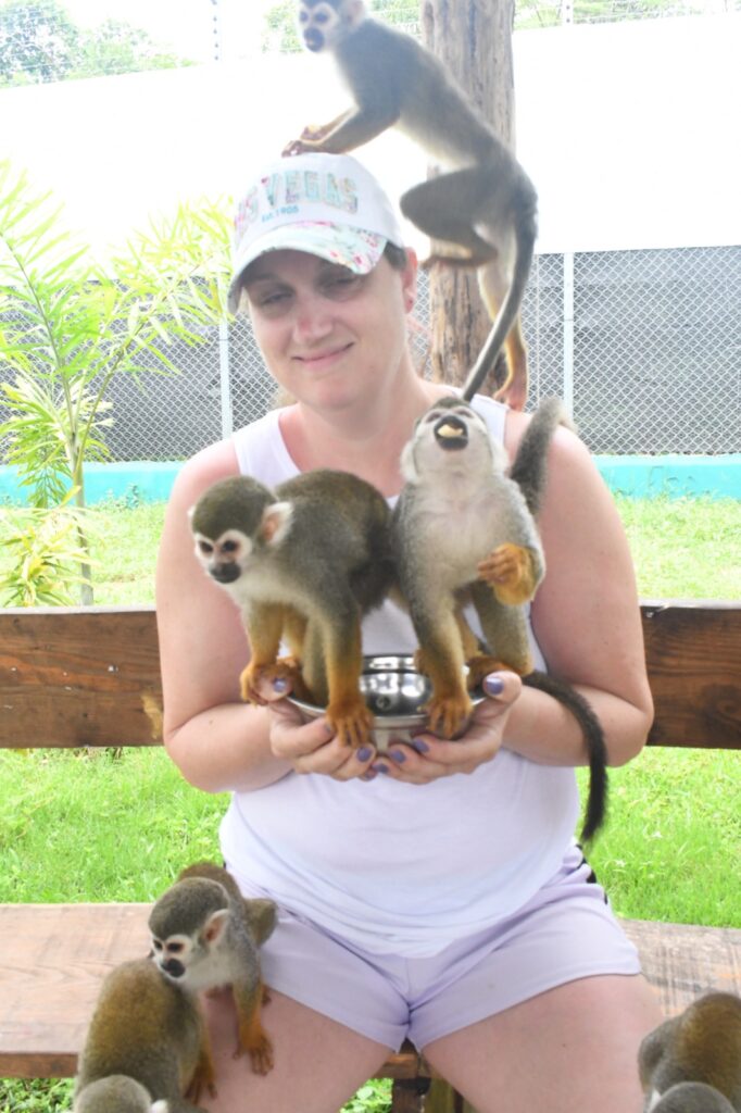 City Tour de Puerto Plata y Monkeyland 2