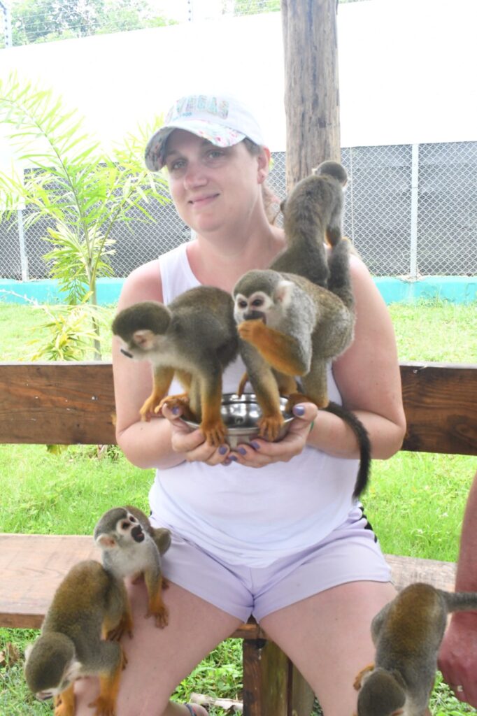 City Tour de Puerto Plata y Monkeyland 3