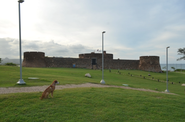 City Tour de Puerto Plata y Monkeyland 20