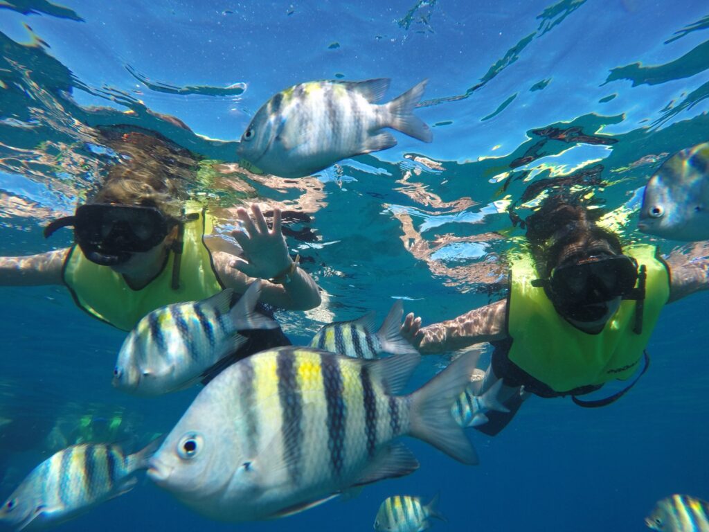 Tip Top Catamaran Tour 4