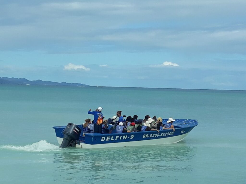 Paradise Island Cayo Arena Speedboat Tour 25