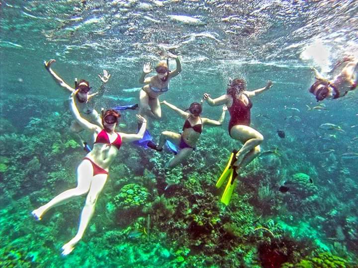 Paradise Island Cayo Arena Speedboat Tour 21