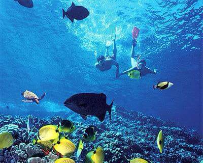 Paradise Island Cayo Arena Speedboat Tour 19