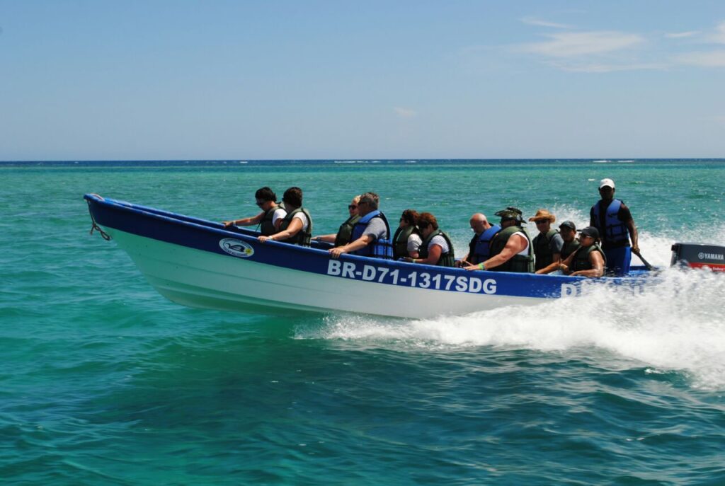 Paradise Island Cayo Arena Speedboat Tour 11