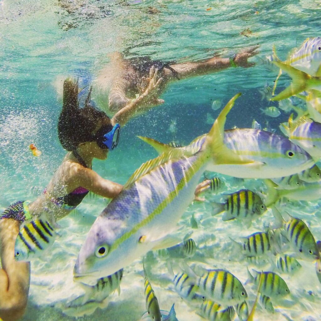Paradise Island Cayo Arena Speedboat Tour 7