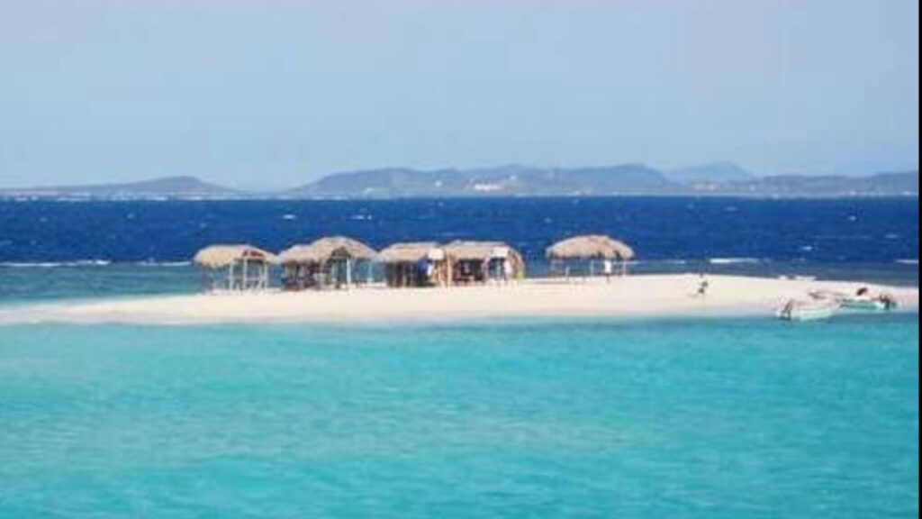 Paradise Island Cayo Arena Speedboat Tour 4