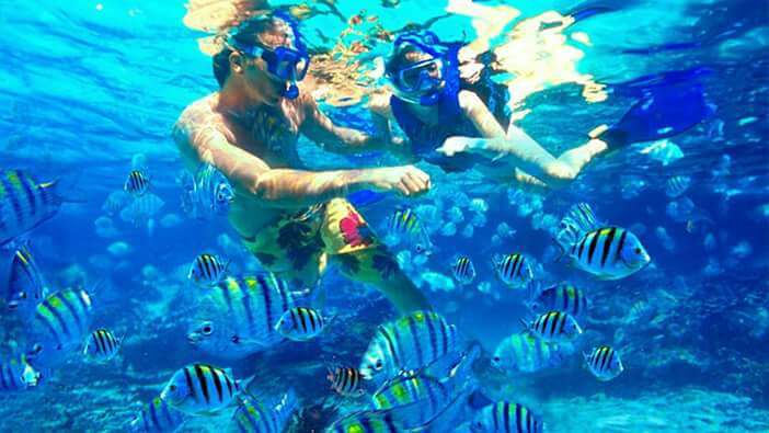 Paradise Island Cayo Arena Speedboat Tour 1