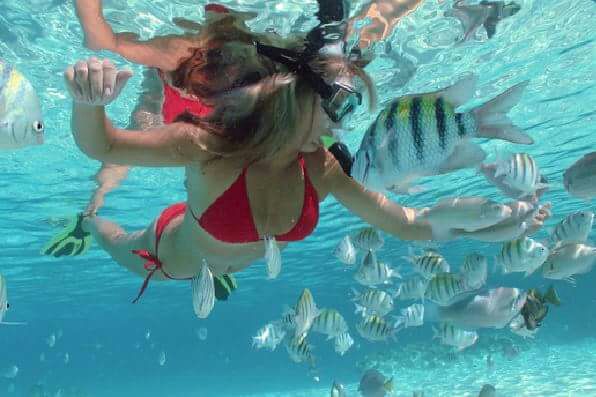 Paradise Island Cayo Arena Speedboat Tour 3