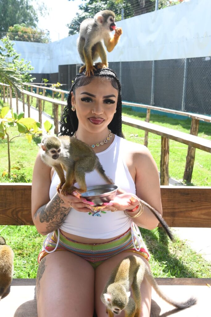 Private Monkeys and Butterfly Watching Tour 3